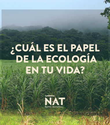 ¿Cuál es el papel de la ecología en tu vida?
