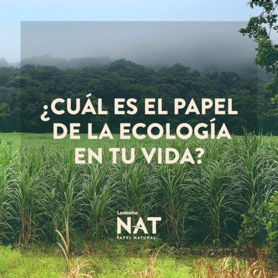 ¿Cuál es el papel de la ecología en tu vida?