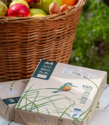 Contenido para redes Ledesma NAT