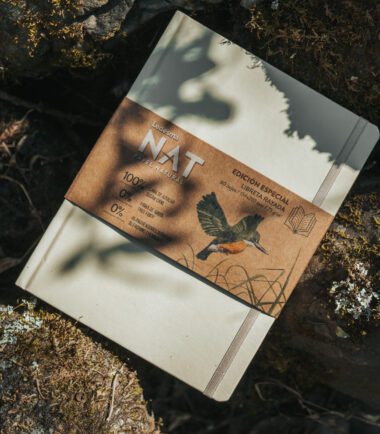 Contenido para redes Ledesma NAT